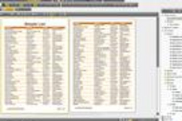Stimulsoft Reports.Wpf预览：